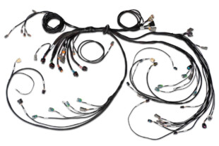 Long Awaited: Haltech Introduces LS Terminated Engine Harness